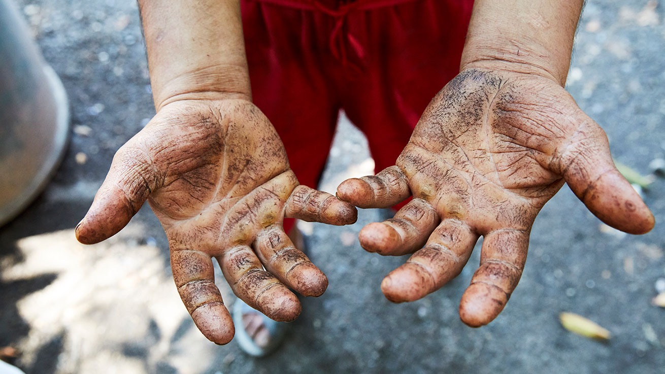 Working hands dirty from Casa Cortés mezcal harvesting