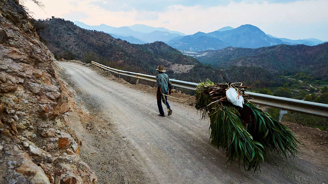 Man pulling cart along mountainside dirt road in high elevation Oaxaca, Mexico