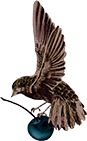 Giffard bird illustration