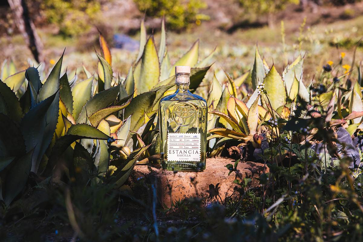 Estancial Raicilla Agave Rock